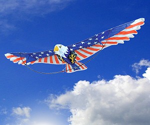 3D Patriotic Eagle