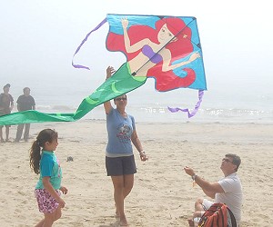 Easy Flyer Kites