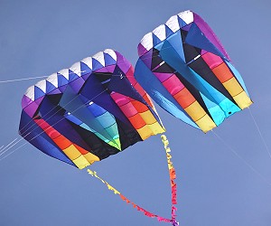ParaFoil and Sled Kites