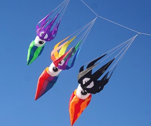 Kite Line Laundy