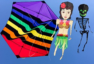 Mixed Bag Kites