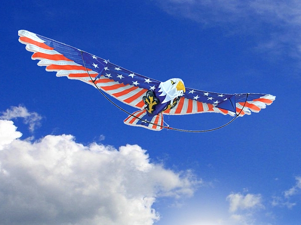 3D Patriotic Eagle