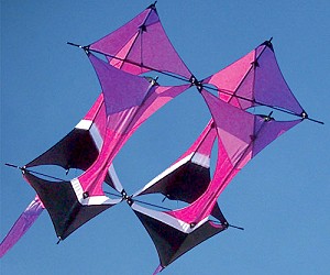 Wayfarer Box Kite