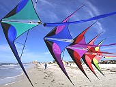 Prism Stunt Kite