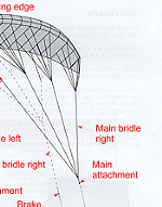 Blade 4 line