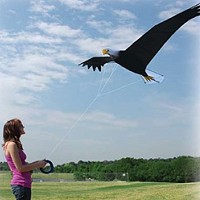 Gint Bld Eagle