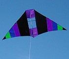 Conyne Delta