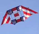 Double Conyne Delta Kite