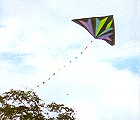 Illusion Delta Kite