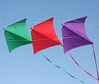Dyna Kite Stunt Masters