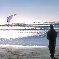 E2 Stunt Kite
