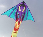 SureFly Dragon Delta