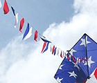 Flag Line
