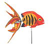 Flame Fish