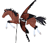 Bay Horse