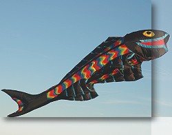 Inflatable Kites