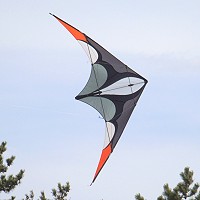 Jive 2 Stunt Kite