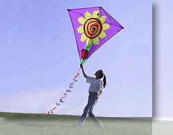 Diamond Kite | 65inch wingspan