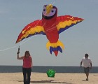 Mega Macaw