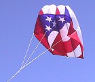 Parafoil 7.5