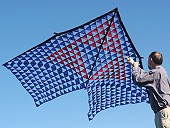 Mesh Delta Kite