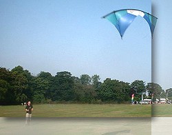 Revolution Kite