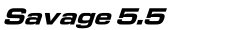 Savage 5.5
