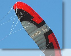 Savage Power Kite