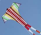 Swallow Tail Delta