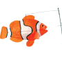 Swimming Clown Fish