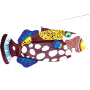 Swimming Trigger Fish
