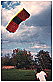 Skytiger 40