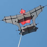 Treczoks Cody Box Kite