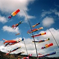 Windsocks
